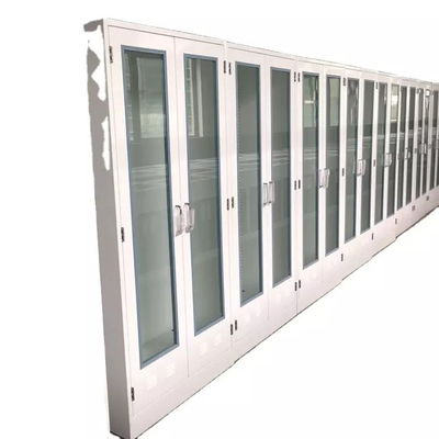 ODM Laboratory Storage Cabinet Chemical Reagent Storage Cabinet Two Door Cupboard