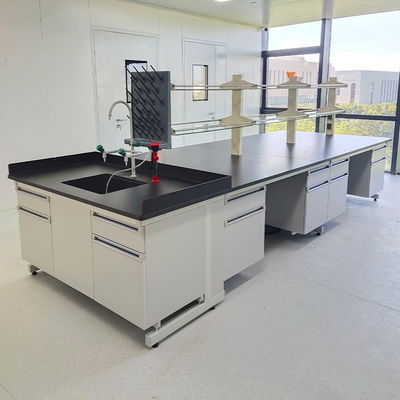 PP Sink Laboratory Working Table 1mm Cold Roll Steel Chemistry Lab Table 300kg