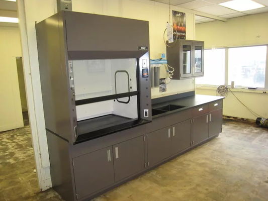 Stainless Steel 304 Ventilation Hood Laboratory Chemical Hood Vent