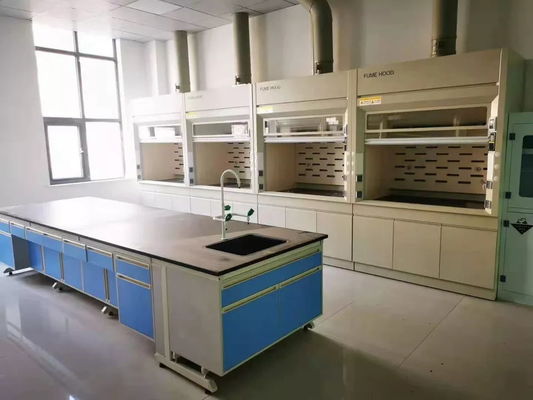 OEM Laboratory Fume Hood All Steel Laminar Flow Fume Hood For Chemistry