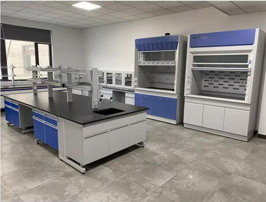 OEM Laboratory Fume Hood All Steel Laminar Flow Fume Hood For Chemistry