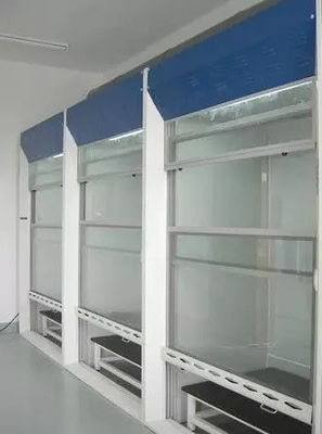 Cartmay Laboratory Fume Hood Chemical Walk In Fume Cupboard OEM Fume Extraction Hoods Cabinet