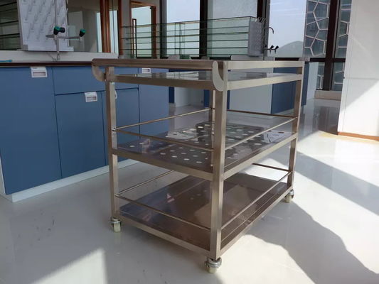 SS Dressing Trolley Lab Fittings 4 Wheel Hospital Stainless Steel Trolley