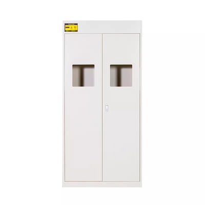 Multiple Functions Flammable Safety Cabinet Chemical Toxic Gas Bottle Storage Cabinet