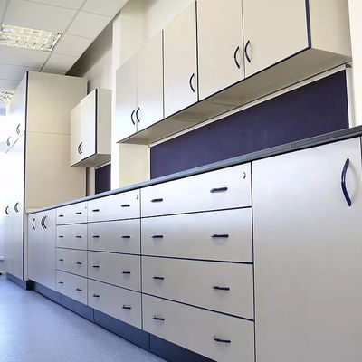 100KG Laboratory Wall Bench Waterproof Commercial Lab Furniture
