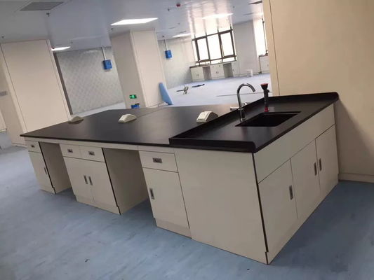 School Chemistry Lab Workbench With PP Sink
